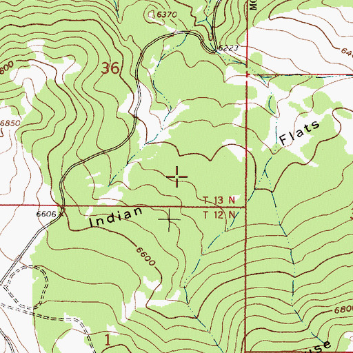 Topographic Map of Indian Flats, MT
