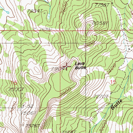Topographic Map of Lava Butte, MT