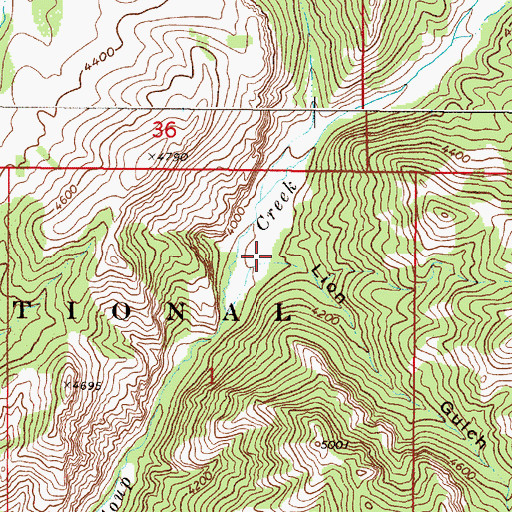 Topographic Map of Lion Gulch, MT