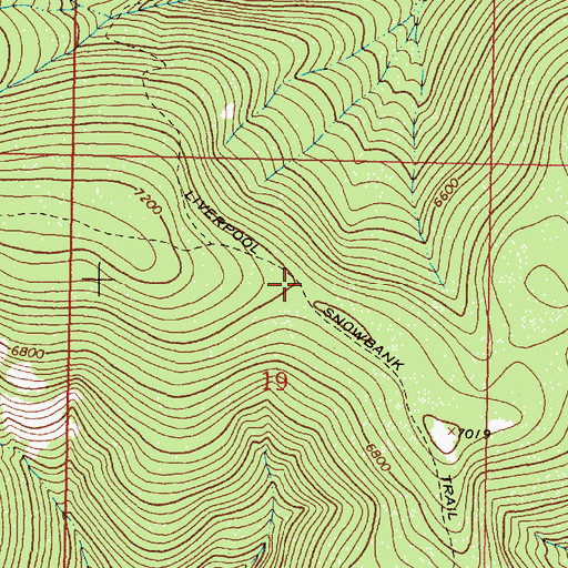 Topographic Map of Liverpool Snowbank Trail, MT