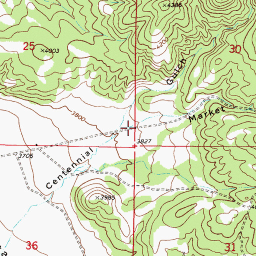 Topographic Map of Market Gulch, MT