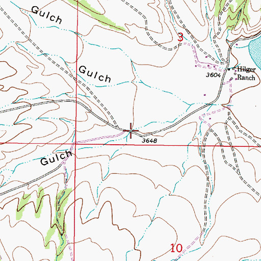 Topographic Map of McLeod Gulch, MT