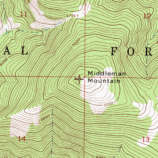 Topographic Map of Middleman Mountain, MT
