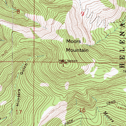 Topographic Map of Moors Mountain, MT