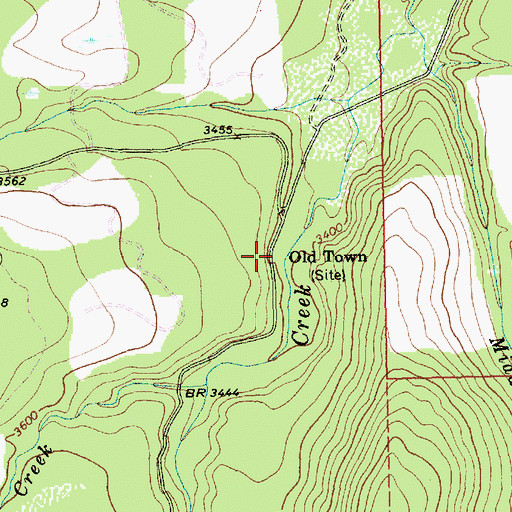 Topographic Map of Old Town, MT