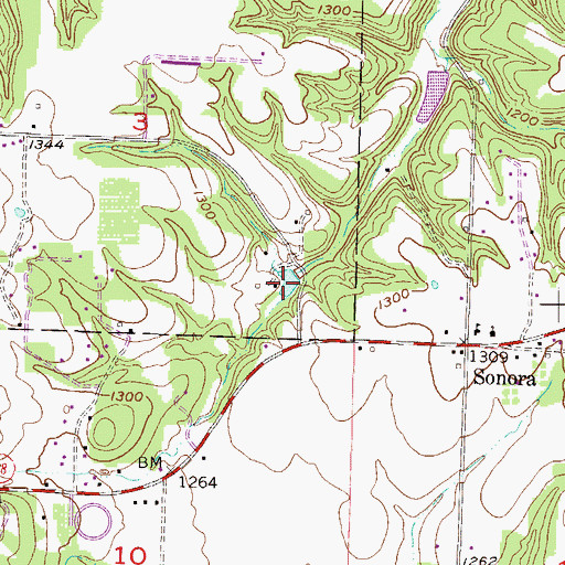 Topographic Map of Tenenbaum Lake, AR