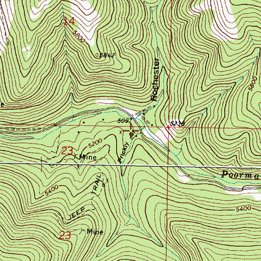 Topographic Map of Prickly Gulch, MT