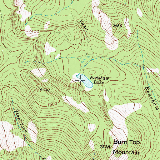 Topographic Map of Renshaw Lake, MT
