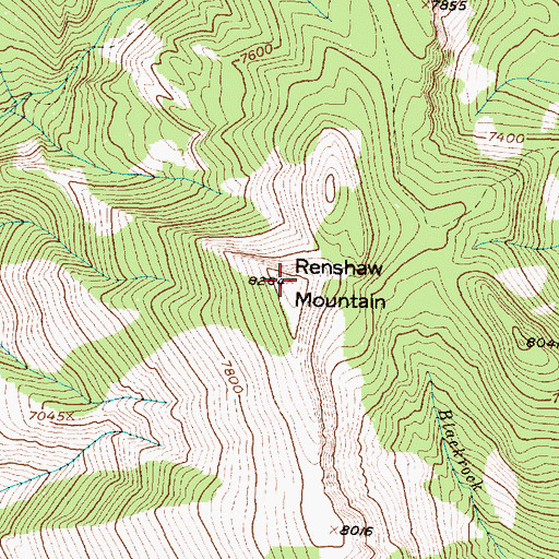Topographic Map of Renshaw Mountain, MT