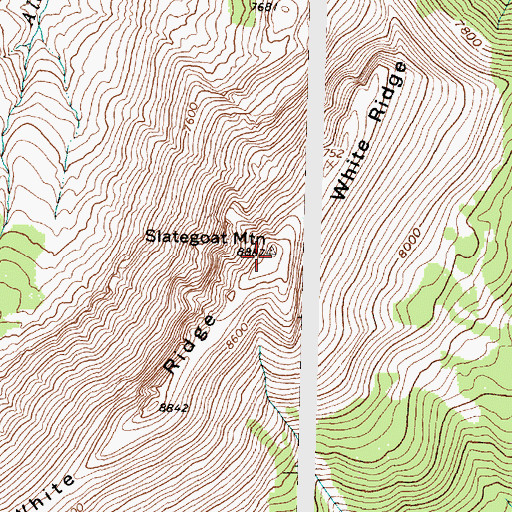 Topographic Map of Slategoat Mountain, MT