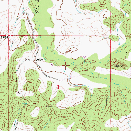 Topographic Map of South Fork Stickney Creek, MT