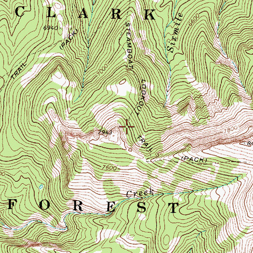 Topographic Map of Steamboat Lookout Pass, MT