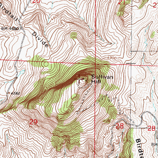 Topographic Map of Sullivan Hill, MT