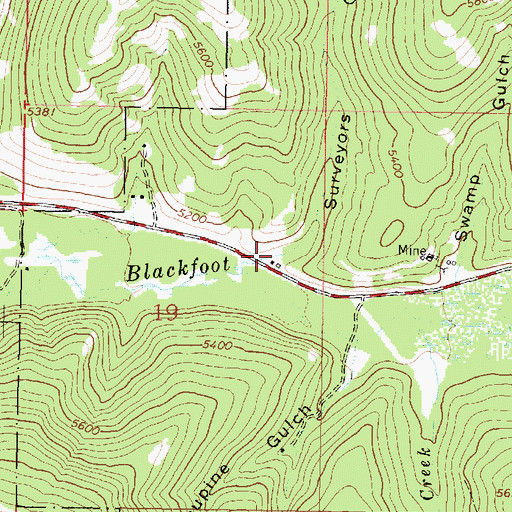 Topographic Map of Surveyors Gulch, MT