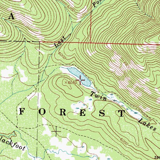 Topographic Map of Twin Lakes, MT