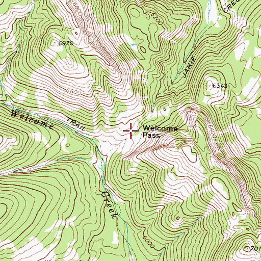 Topographic Map of Welcome Pass, MT