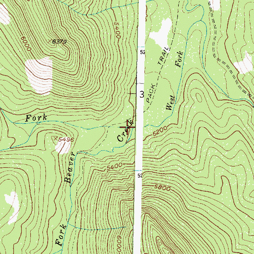 Topographic Map of West Fork Beaver Creek, MT