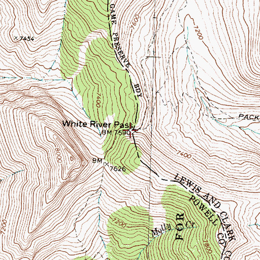 Topographic Map of White River Pass, MT