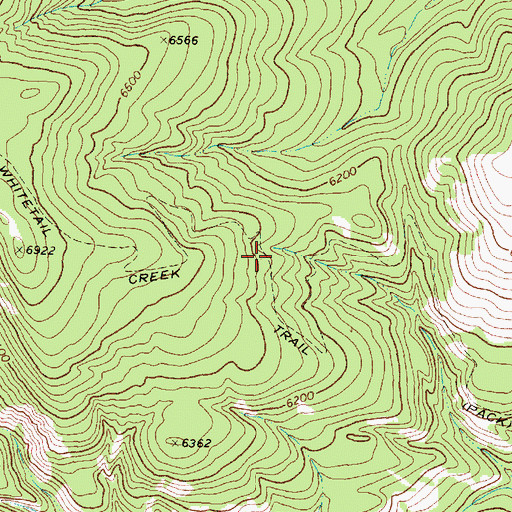 Topographic Map of Whitetail Creek Trail, MT