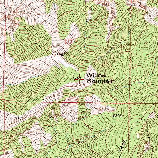 Topographic Map of Willow Mountain, MT