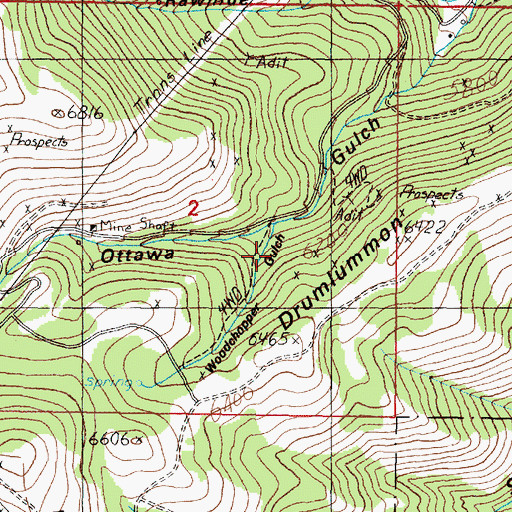 Topographic Map of Woodchopper Gulch, MT