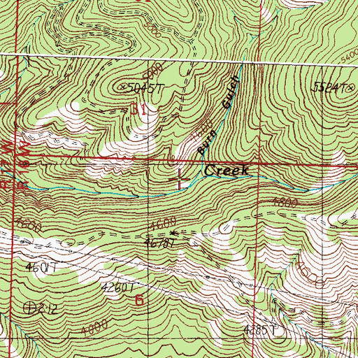 Topographic Map of Burn Gulch, MT