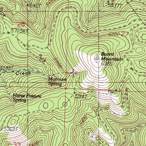 Topographic Map of Mormon Spring, MT