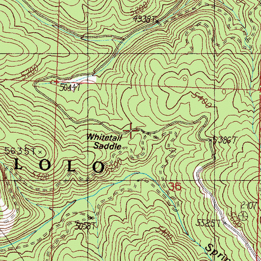 Topographic Map of Whitetail Saddle, MT
