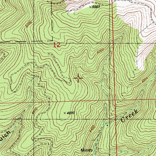 Topographic Map of Lolo National Forest, MT