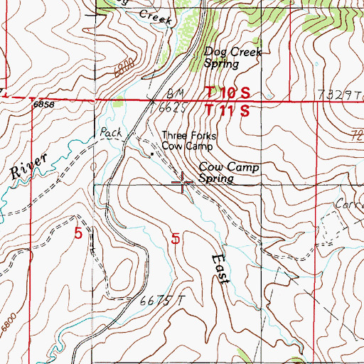Topographic Map of Cow Camp Spring, MT