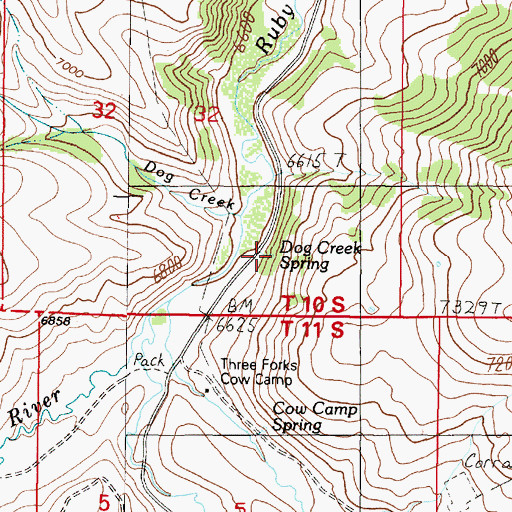 Topographic Map of Dog Creek Spring, MT
