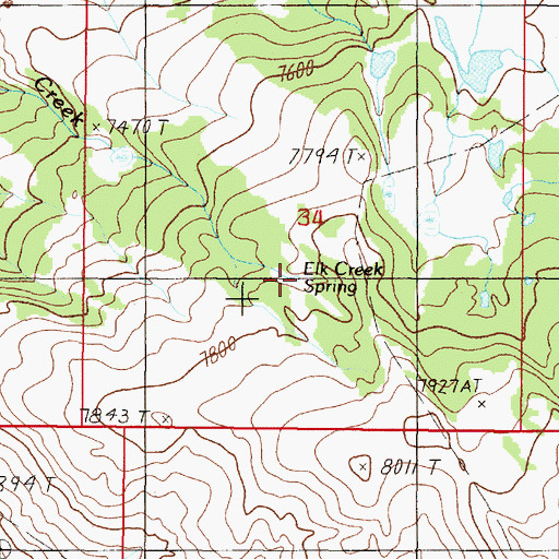 Topographic Map of Elk Creek Spring, MT