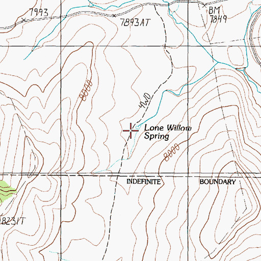 Topographic Map of Lone Willow Spring, MT