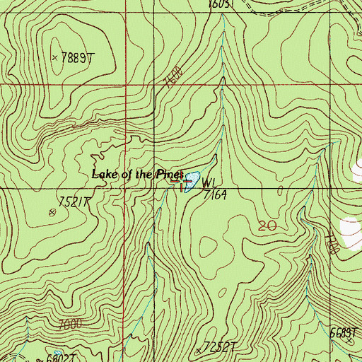 Topographic Map of Lake of the Pines, MT