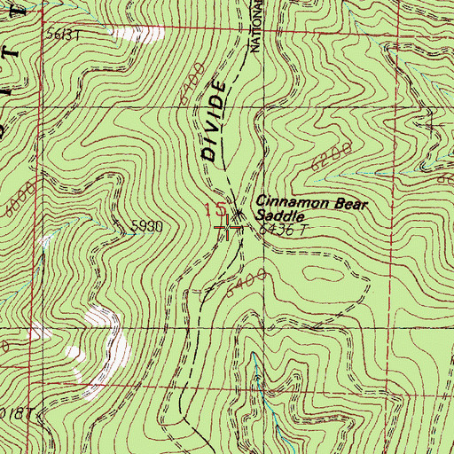 Topographic Map of Cinnamon Bear Saddle, MT
