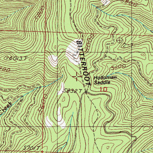 Topographic Map of Holloman Saddle, MT