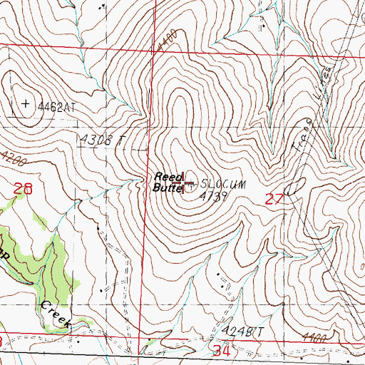 Topographic Map of Reed Butte, MT