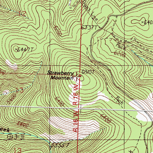 Topographic Map of Strawberry Mountain, MT