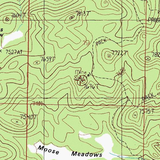 Topographic Map of Eureka Mine, MT