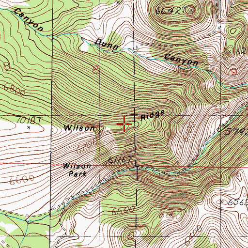 Topographic Map of Wilson Ridge, MT