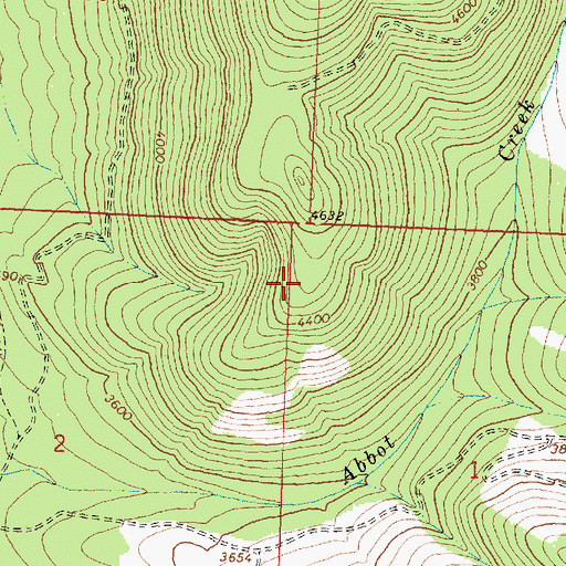 Topographic Map of Coram Experimental Forest, MT
