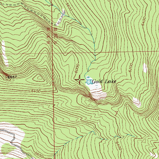 Topographic Map of Gold Creek, MT