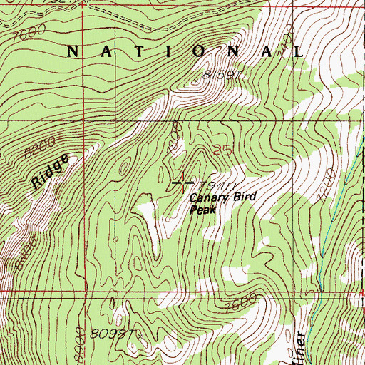 Topographic Map of Canary Bird Peak, MT