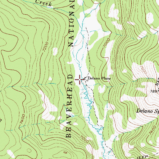 Topographic Map of Delano Place, MT