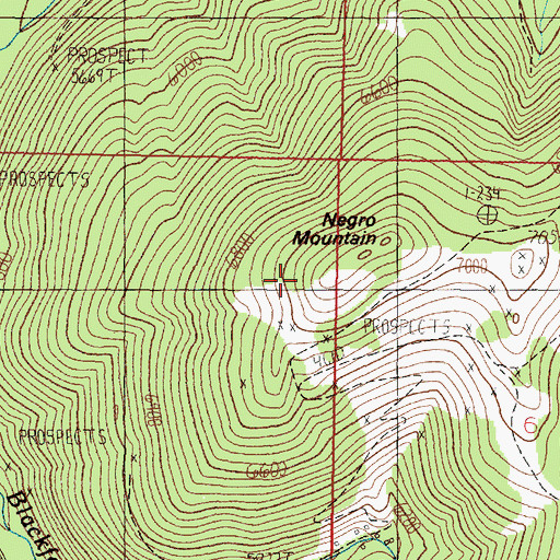 Topographic Map of Negro Mountain, MT