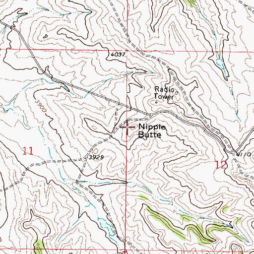 Topographic Map of Nipple Butte, MT