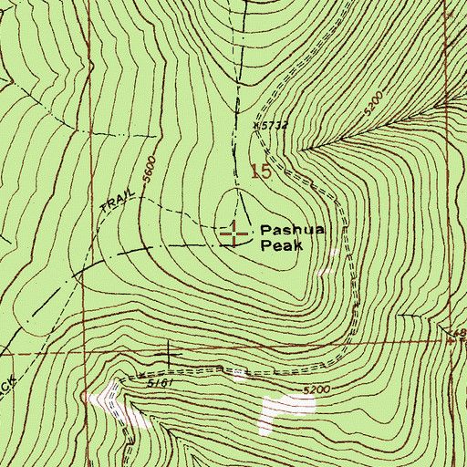 Topographic Map of Pashua Peak, MT