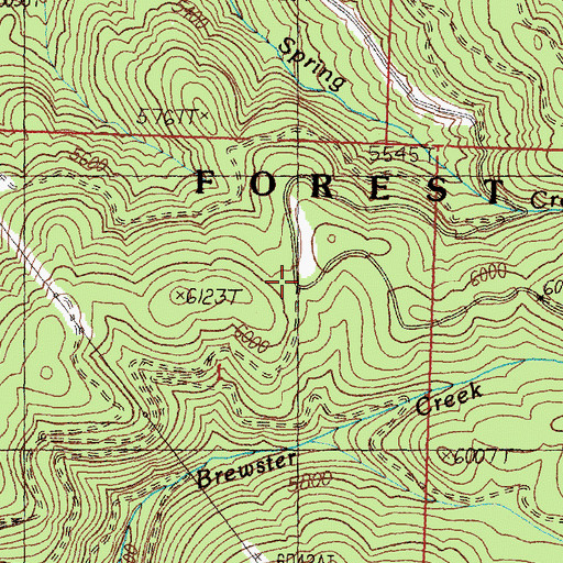 Topographic Map of Lodgepole Saddle, MT