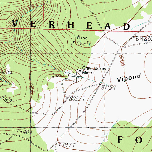 Topographic Map of Gray Jockey Mine, MT