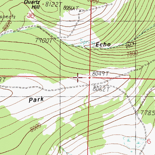 Topographic Map of West Lone Pine Mine, MT